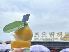 -苏小糖(鼓浪屿三丘田花园店)