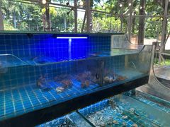 -佰园全日西餐厅-厦门佰翔软件园酒店