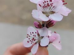 -鬼笑石后山停车场