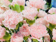-谷莠子花艺气球派对·绿植造景·花艺沙龙(东海缤纷天地店)