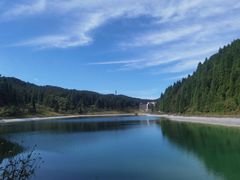 -武陵山森林公园