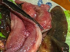 鳝鱼-独雅老火锅(原宏声巷店)