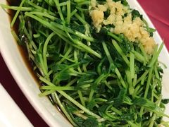 -田园小观园(武大店)