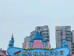 -海合安成都极地海洋公园