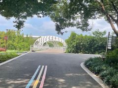 -同里国家湿地公园