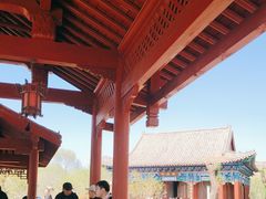 -曹州牡丹园