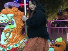 -南京银杏湖乐园