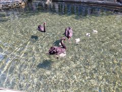 -水磨沟公园