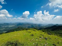 -大姆山草场