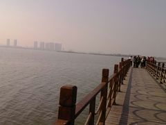 android_upload_pic-瑶湖郊野森林公园