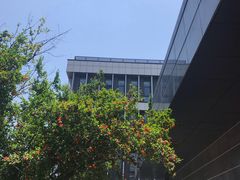 -南京林业大学-图书馆