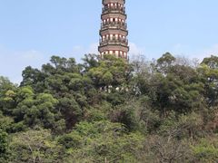 -顺峰山公园