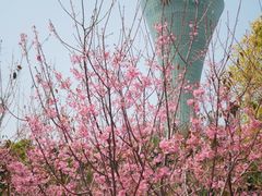 -狐尾山公园