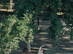 -东北大学(南湖校区)