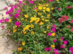 景点-上海欢乐谷