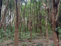 -同里国家湿地公园