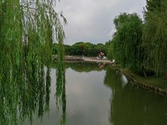 -上海鲜花港