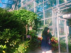 -南山植物园