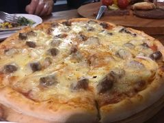 -百好乐宠物友好餐厅(朝外大街店)