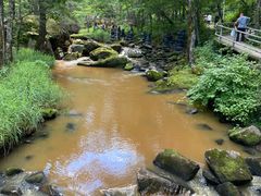 -茅兰沟国家森林公园
