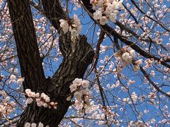 -吉林大学(南岭校区)