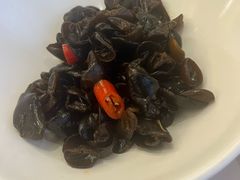-骏莱海鲜鱼港(五角场店)