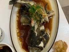 清蒸石斑鱼-琼大师东方烤乳猪(亚特兰蒂斯店)