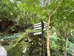 -刘伯温故里景区百丈漈