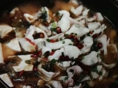 -越城记黑鱼煲(万达店)