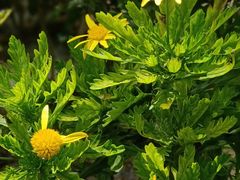 -西宁市人民公园(城西区)