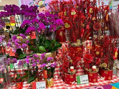 -AEON永旺(东方宝泰店)