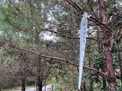 -广州白江湖森林公园