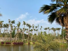 -枫香湖儿童公园