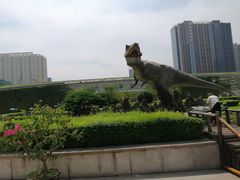 -陕西自然博物馆