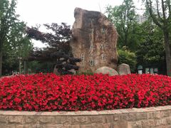 -苏州河梦清园环保主题公园