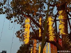 -东台西溪天仙缘景区