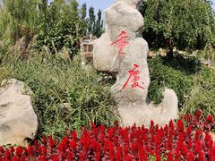 -武清南湖绿博园