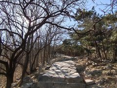 -北京鹫峰国家森林公园