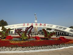 -石家庄市植物园