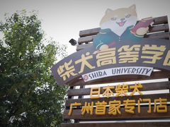 -柴犬高等学院·狗咖·柴犬售卖·宠物训练