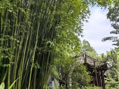 -三苏祠