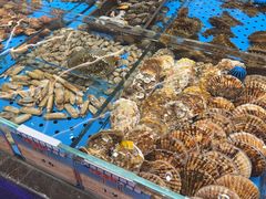 -大连湾旭日·家宴·海肠捞饭(马栏广场店)