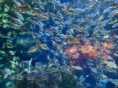 -成都浩海立方海洋公园