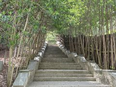 -云碧峰国家森林公园