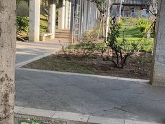 -清湖文化公园