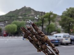 -松州古城