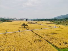 -风云岭森林公园