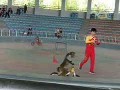 -石家庄市动物园