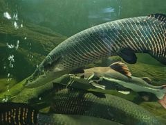 -泉州海丝野生动物世界