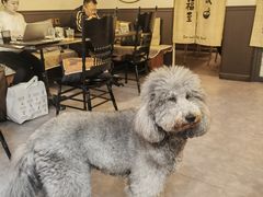 -沏点Trattoria意大利餐厅(新街口店)